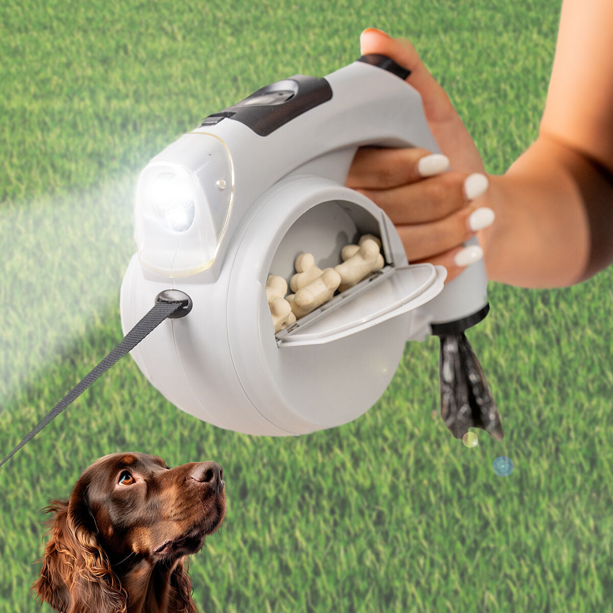 Pawrily Walk 6-in-1 leash used during a dog walk